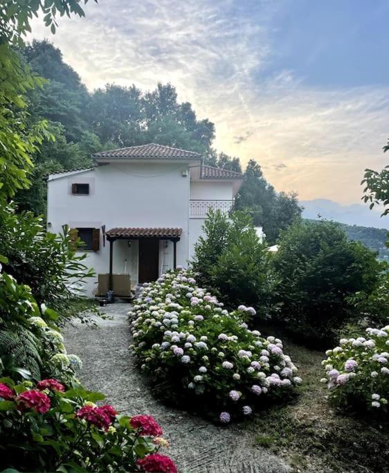 Delmar Villa Mouresi